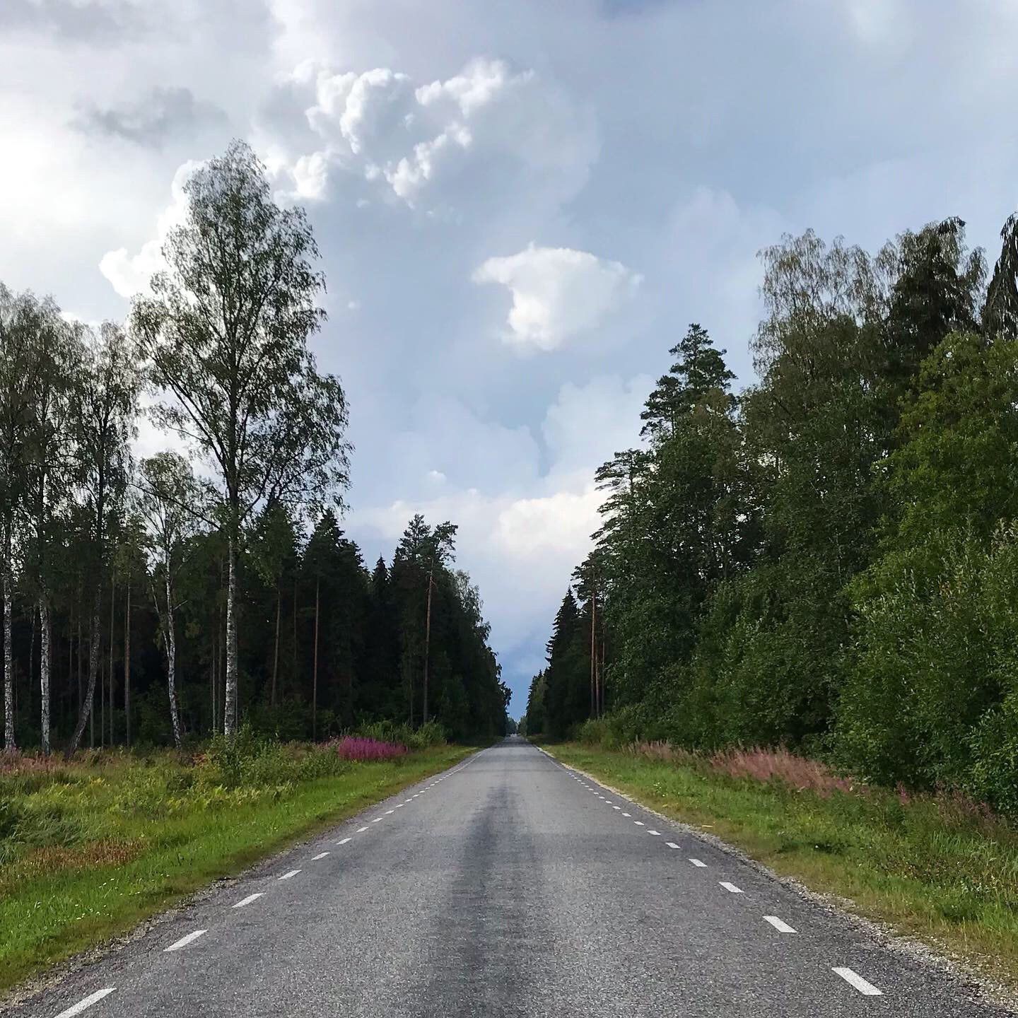 Bike trip to Estonia: Looking back at my pack list